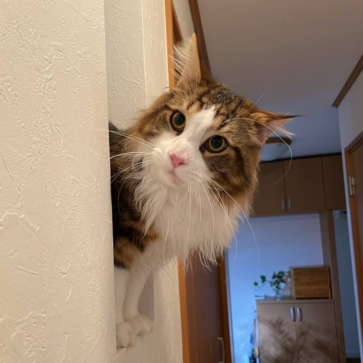 D5dfc7c9 a877 4f9c 9532 a9bd50f8d191 1647982683980