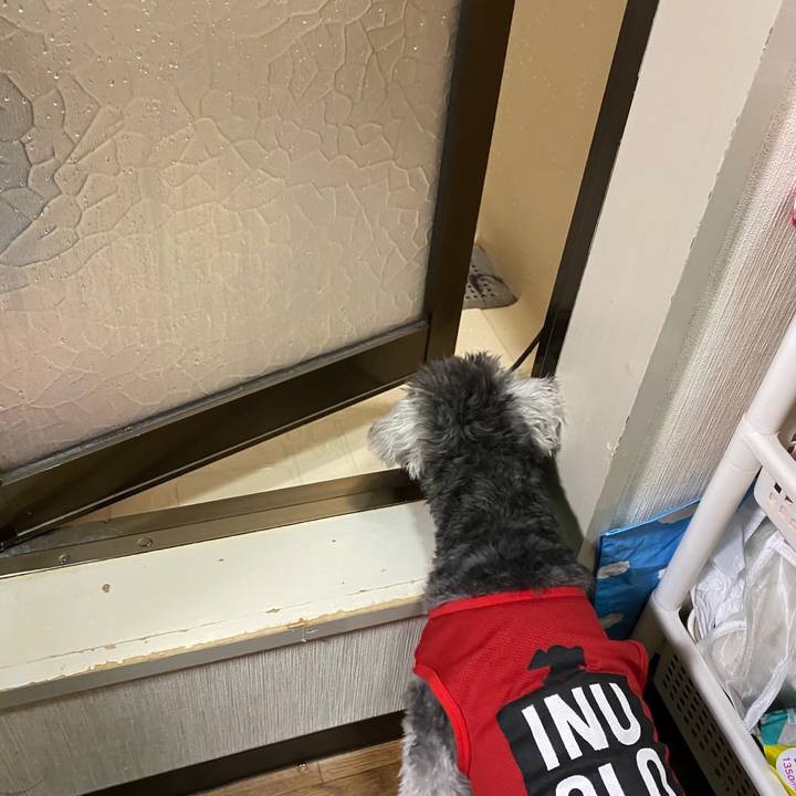 D5dfed13 33e7 4490 adad 33f379b0dd08 1584542032712