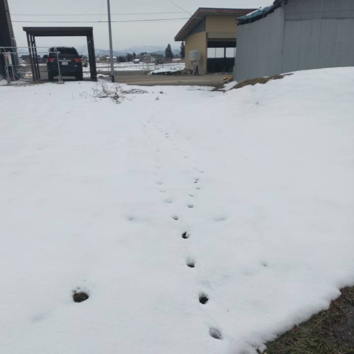 D5dfff5c 0368 4cd6 bfa9 9daa663bc964 1709626652325