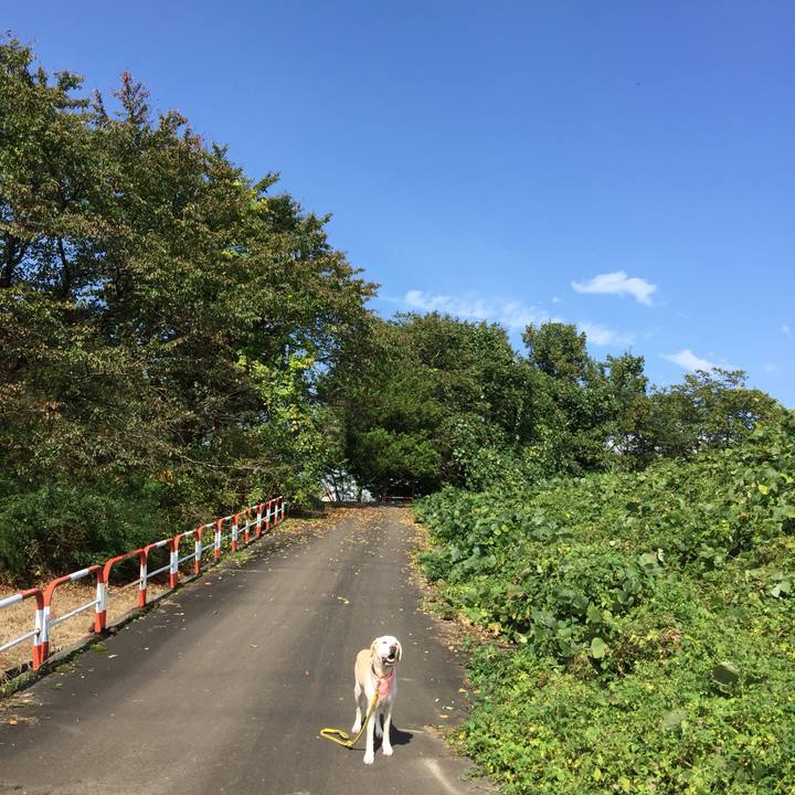 D5e00818 fe48 48dd b56c 0b42131d9eaf 1559369747731