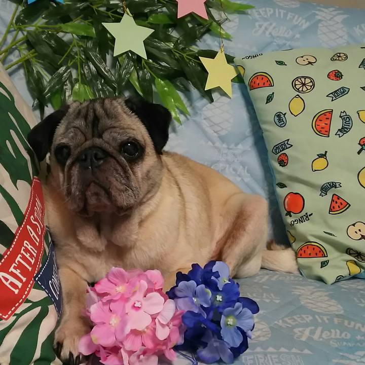 D5e00aed e4ce 4afe baf9 097413a44cad 1530501621537