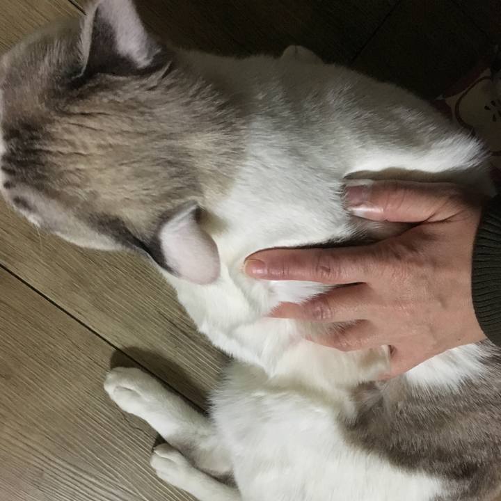 D5e025e8 fa69 4563 8c1f 4ebdc936a5bf 1546275090447