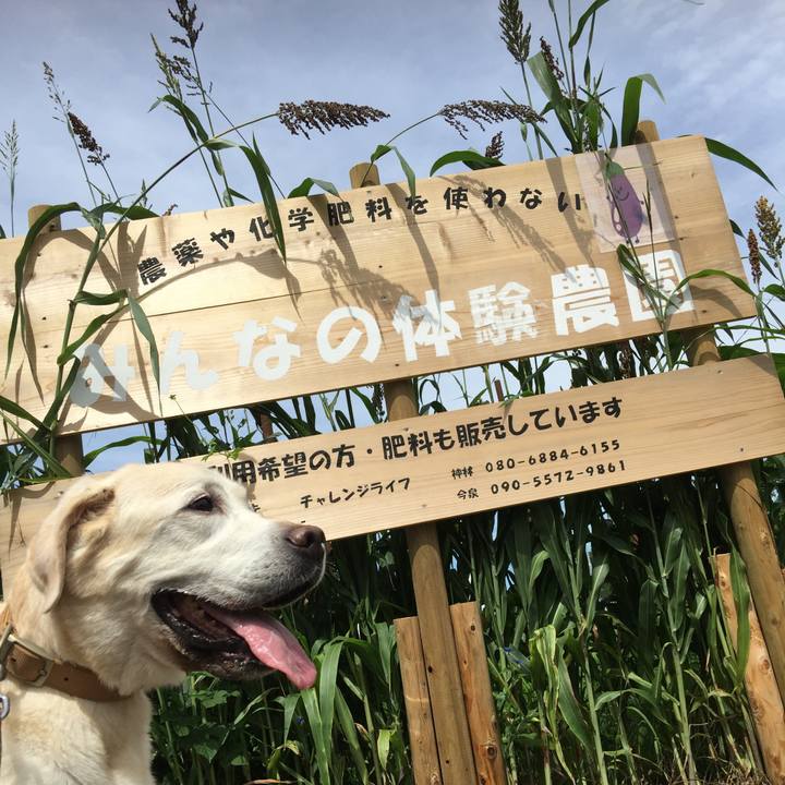 D5e04f25 5b76 4d84 b87f 32566076699b 1535859811563