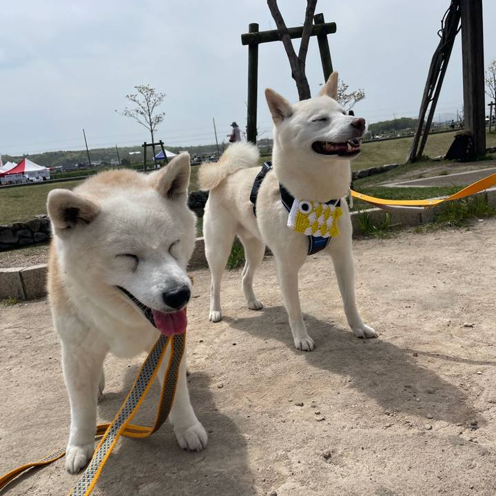 D5e05143 a1fe 4c76 8225 80b713dafc3d 1713663475226