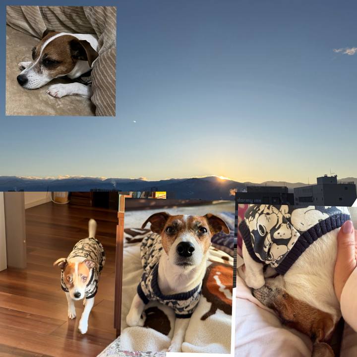 D5e0609c 3b0e 438d 8599 78d2b7afb9cd 1767912626822