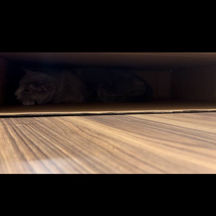 D5e07a6b 7c69 4051 b21c ac1b4a79a02d 1737364406187