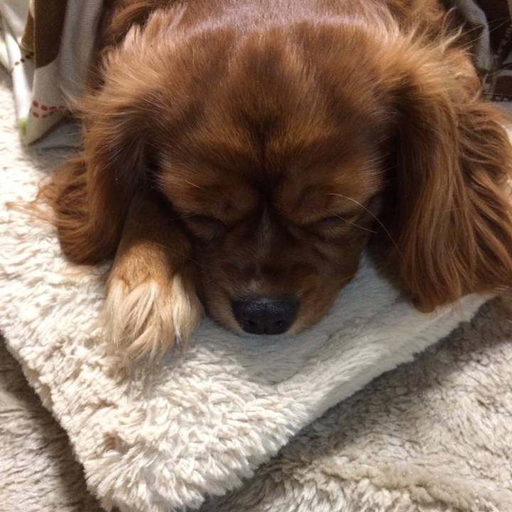 D5e082ae 754c 4198 9e2a fb2739a8bde2 1518127097583