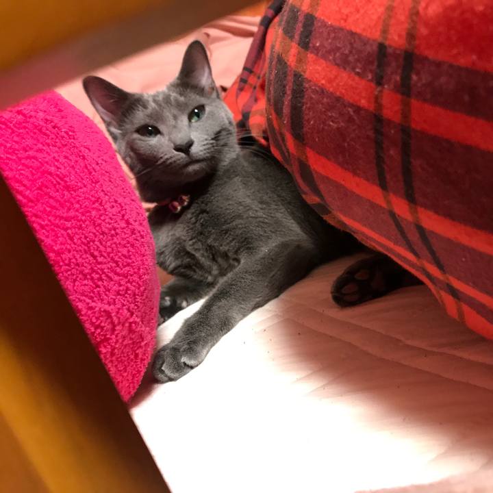 D5e0ab21 e379 4e3d acb2 3eb6905ac944 1508483082561