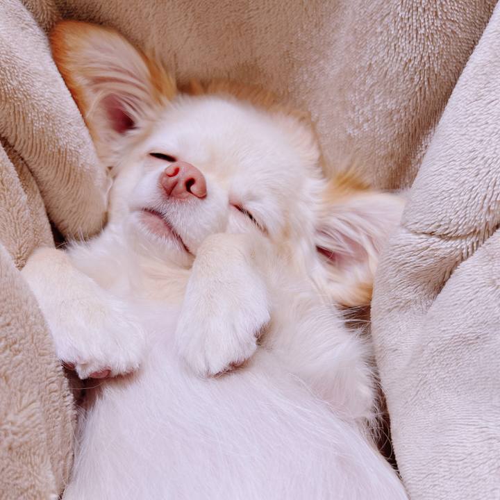 D5e0b42b 520e 4ec6 b2bc 91c88e98008e 1678430978762