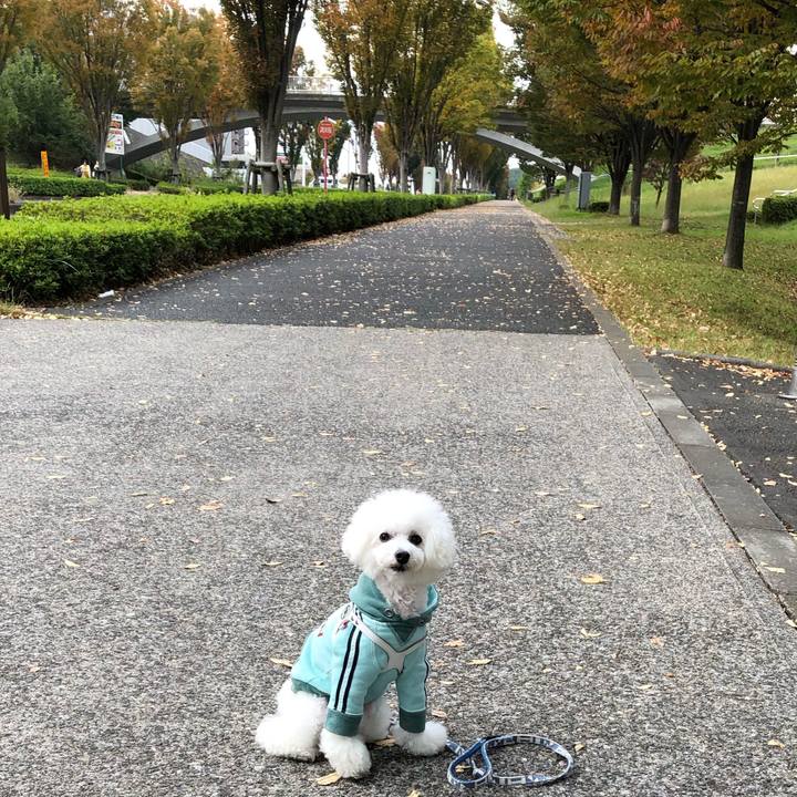 D5e0c681 2ca6 409e 81f9 1e144718c8b8 1603868325252