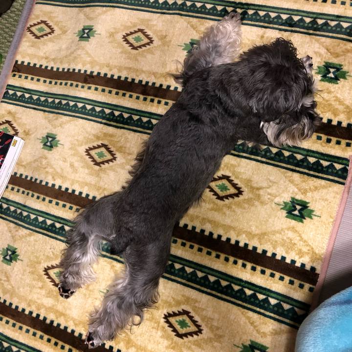 D5e0eefe fdc1 451a 88d8 d0e226e41d78 1585395333220