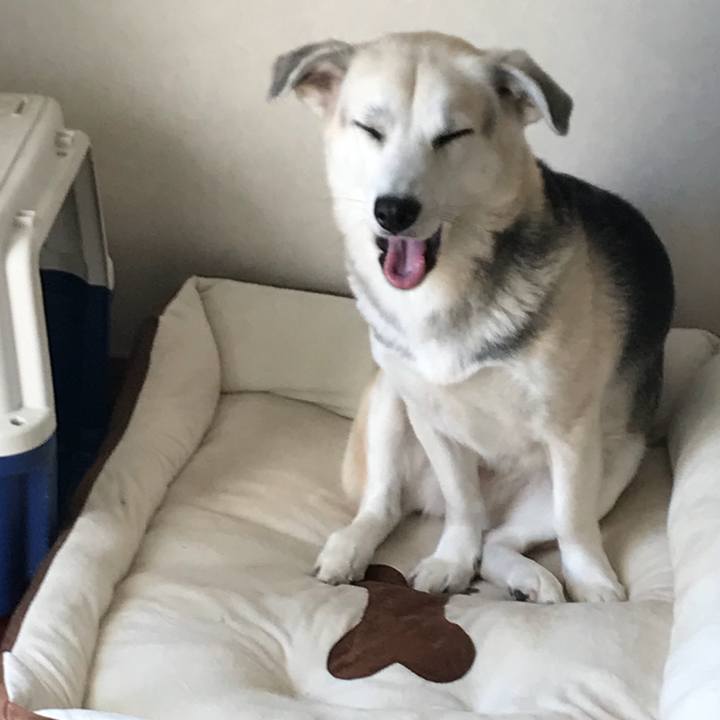 D5e0f556 c1b2 4f40 8295 bdd088cdf25e 1546573004430