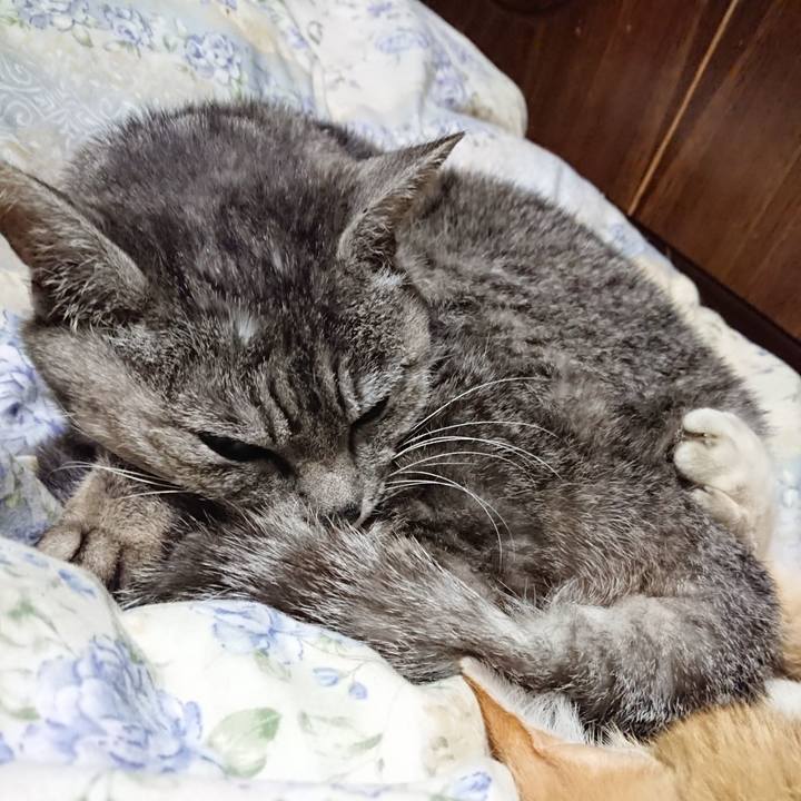 D5e0fb54 d82a 4489 b652 21b6d6e885bd 1589463716945