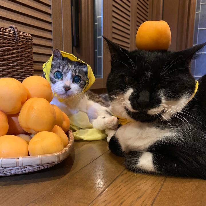 D5e12983 4705 436b aec6 6b1444619f5f 1562546957664