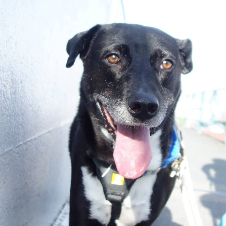 D5e12dc9 f224 4317 8565 452b29dd88bd 1658964492102