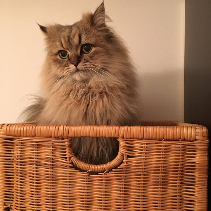 D5e15084 661a 4a36 a558 61a23d75cd7d 1508854778174