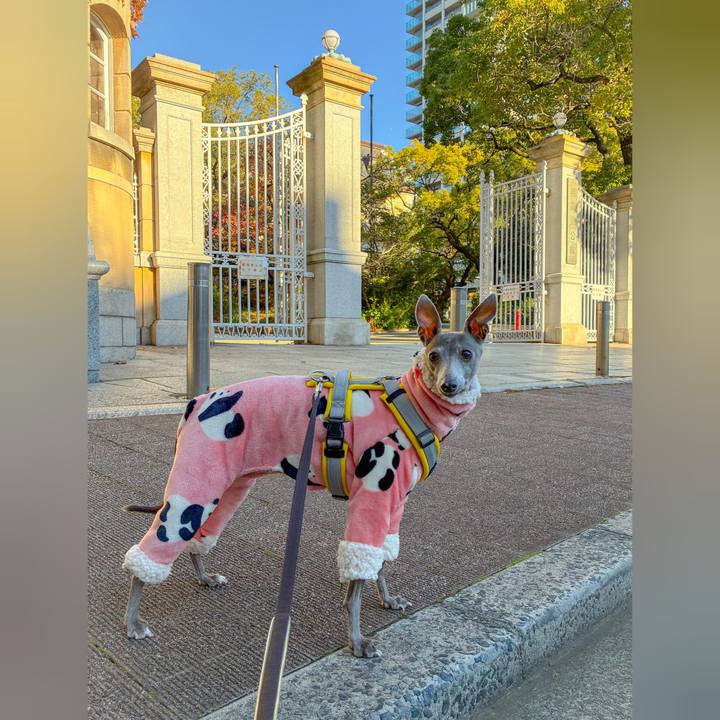 D5e15e99 d0fd 4100 b30c d09bbeba0ca4 1766393930410