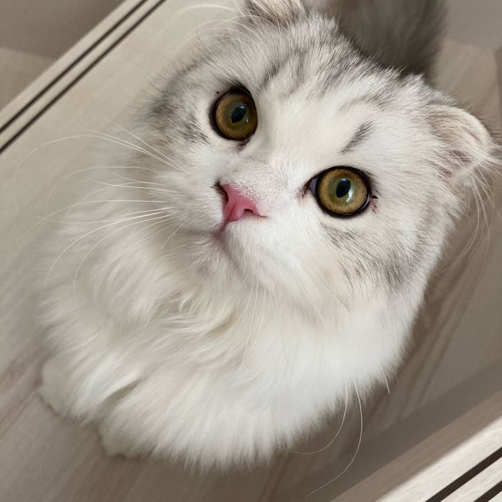 D5e1975f a286 4083 bb0a 7d99b7ee9951 1603632139539