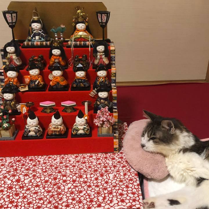 D5e1a85d c684 454d 9b4d 0594f437cd1b 1614721994389