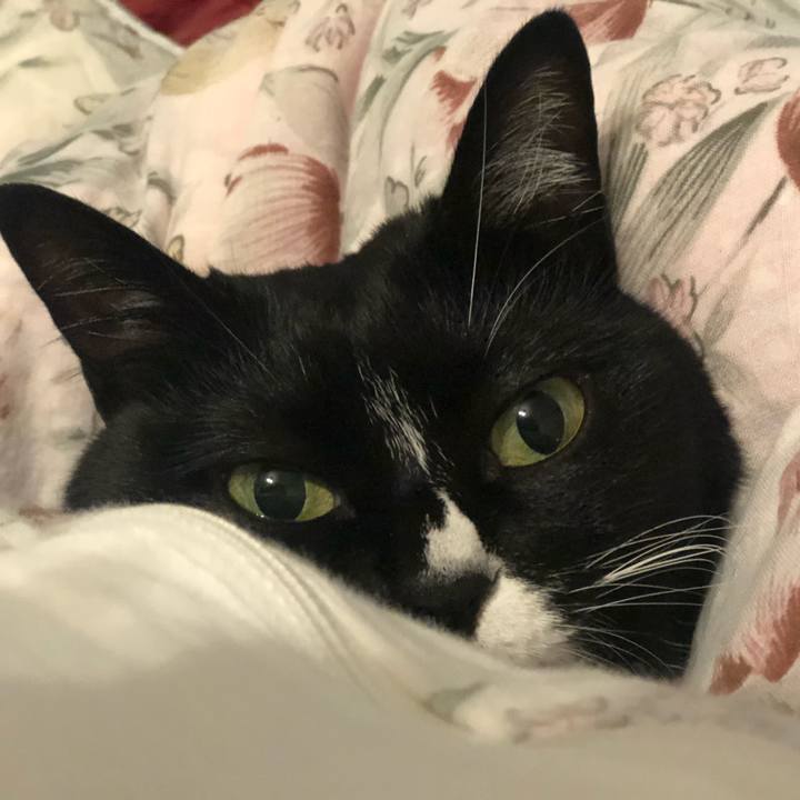 D5e1daad 8f33 4a43 a380 0e94038689af 1578186799483