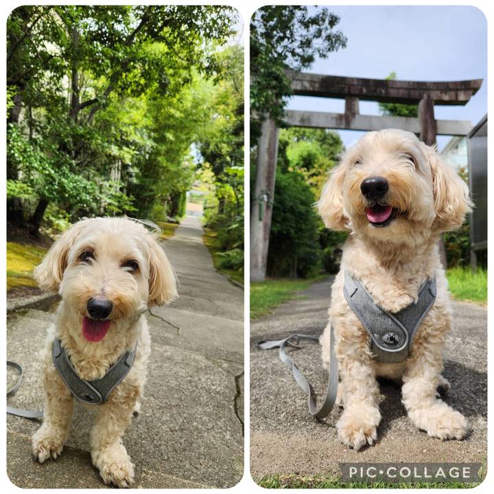 D5e1e2bb 005b 4a00 a87e 6e5899707f5d 1758594679856