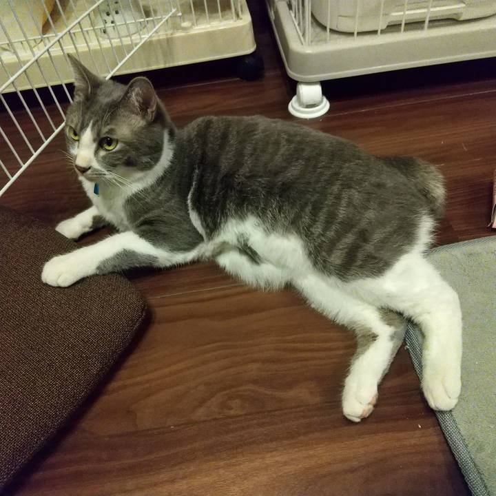 D5e20d9b a59f 40af 93a9 9d367fcae6df 1612966128477