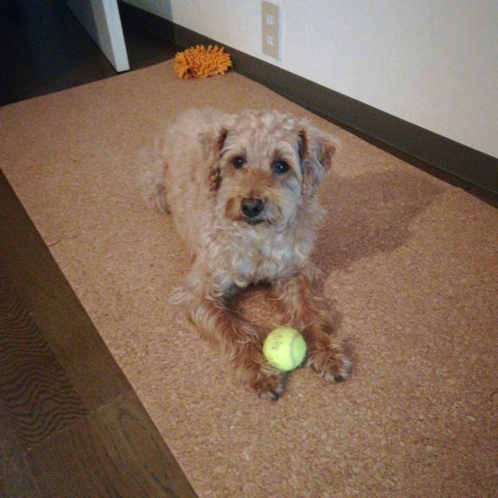 D5e23004 2925 4309 ade2 65a33eb6a0db 1568848844066