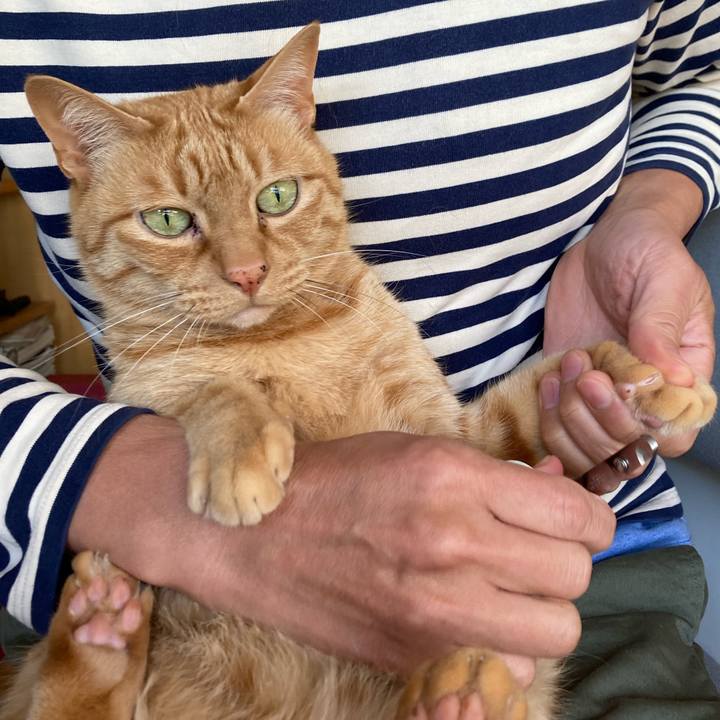 D5e25898 9798 4fca 8844 2de393e69116 1678496716209