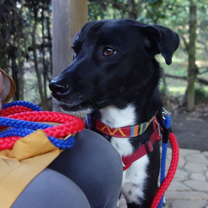 D5e2874b 84cb 4b2e a69b 7a291837ebdc 1585873441039