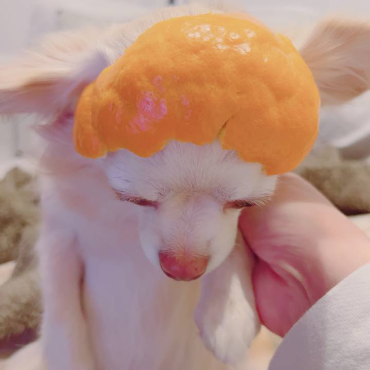 D5e28913 e72f 4929 ad67 5b004e65ef67 1704705796124