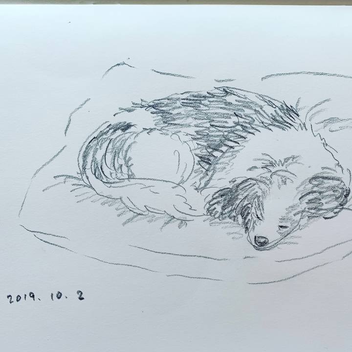 D5e28b06 48f7 4ced af07 957fe6b18e96 1569974625788