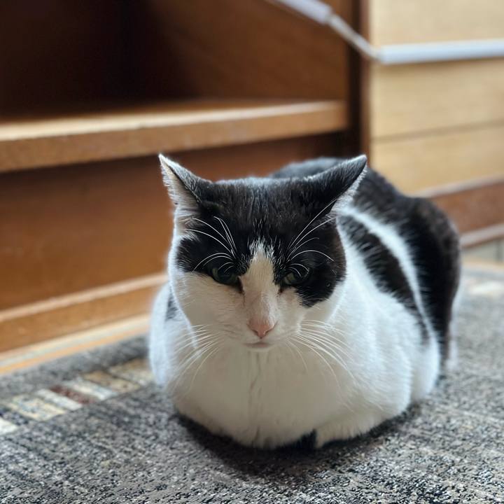 D5e2a9d7 1cab 4154 9365 63e070c8d6c2 1681608702831