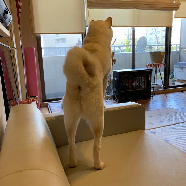 D5e2b8ea 6915 4255 86a0 d57721083f67 1552694882759