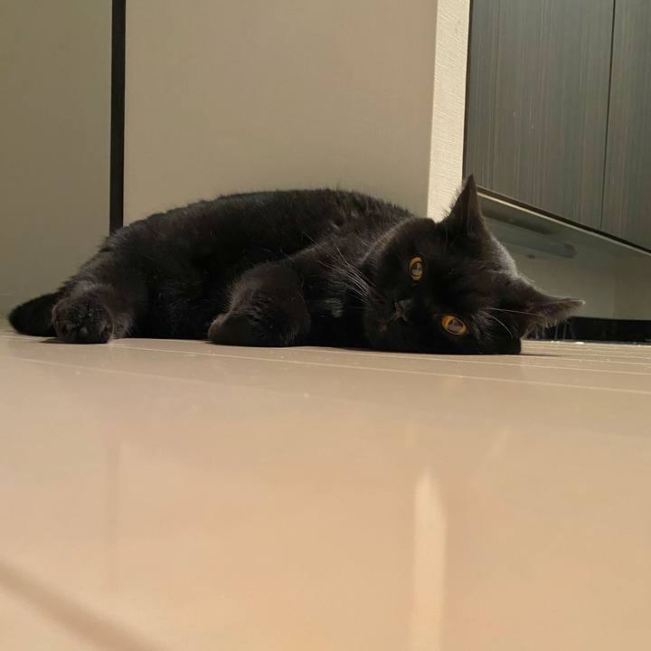 D5e2bcb8 47ee 461c 8f6a f5bd3dc76786 1691068645724