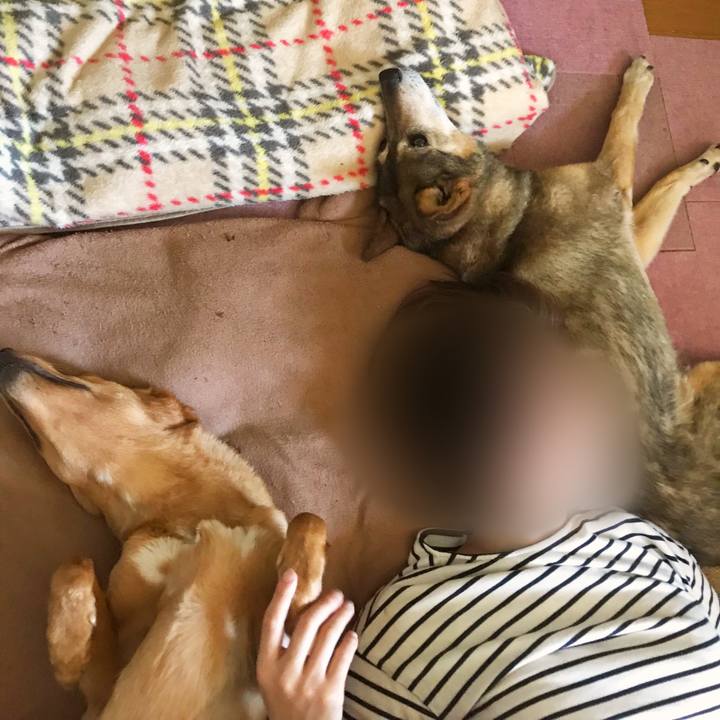 D5e2c71b 16ea 4198 8763 9641275a3c49 1530324845864