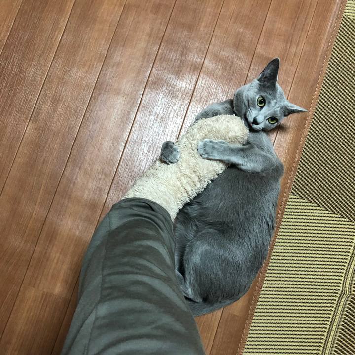 D5e3020f 61c3 4e29 aafc 35aa3e497128 1547953569255