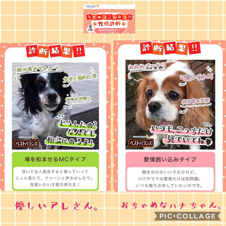 D5e308c0 0600 4c34 bc09 ab28a21dc330 1542087421820