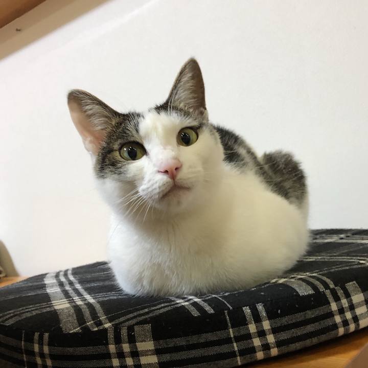 D5e313c7 146d 45e2 922b 645affba696d 1621641973439