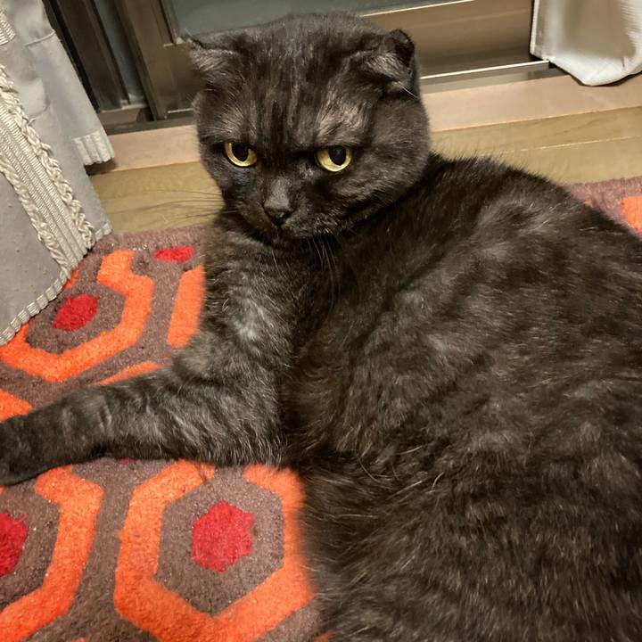 D5e31726 6940 4997 8032 0d737f5cc891 1594131746841