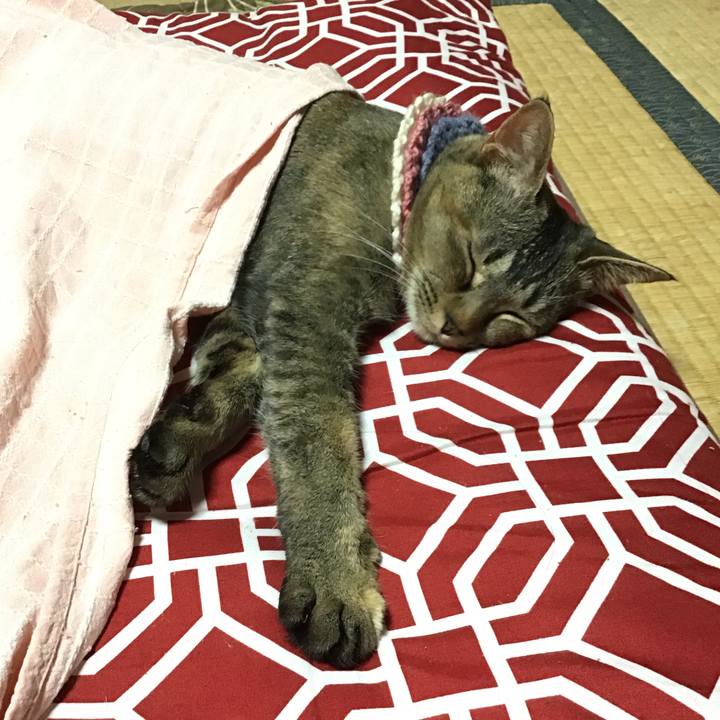 D5e32386 6103 4b4c b5d2 1fe7831045a5 1617355263841