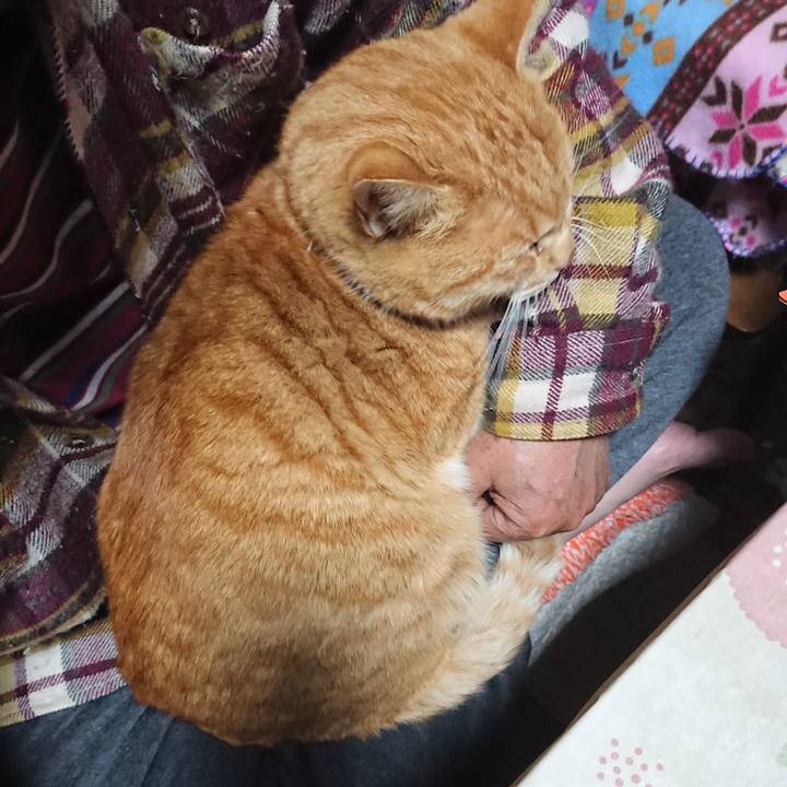 D5e333d5 3972 4e7b aeeb 10d61489d0b5 1575059086106