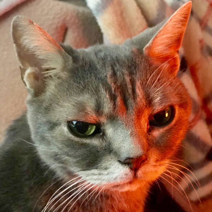 D5e33e3d f438 486a 8e39 65678cbc2145 1547308233125