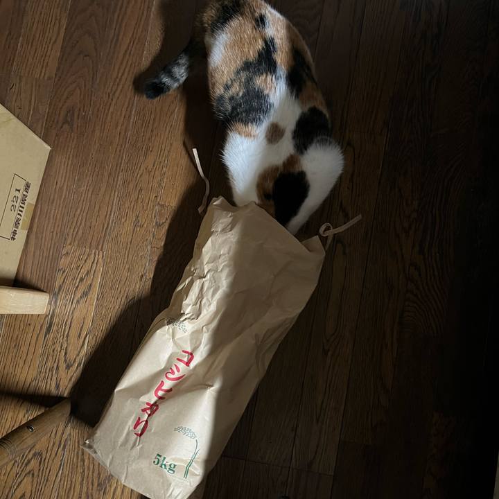 D5e35d02 317e 4e53 b63c 4eaa420ef292 1761350061046