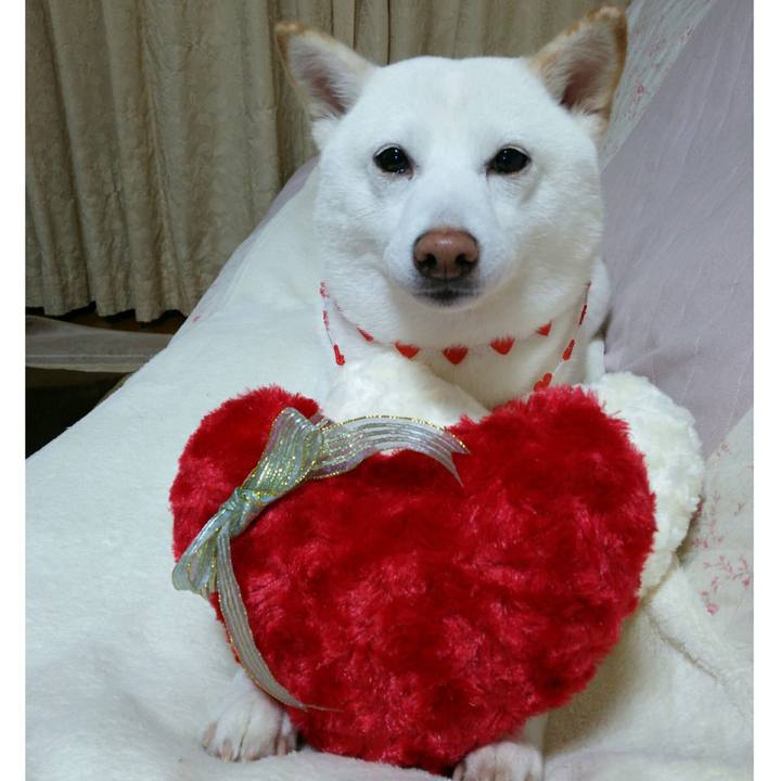 D5e38a7c 694c 4db5 9341 4e704d4e8a43 1552303535260