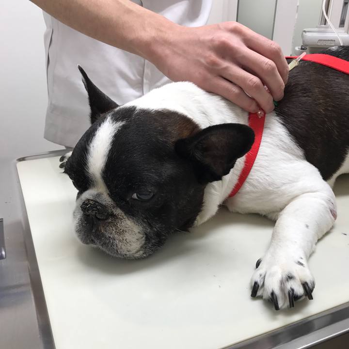 D5e3a57d b3db 4024 bbcd 994812e497b1 1514965060540