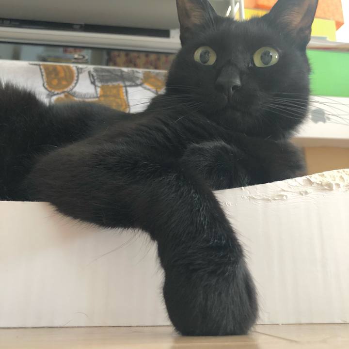 D5e3a806 e476 49b9 b749 1739b9f81f5c 1624271405172