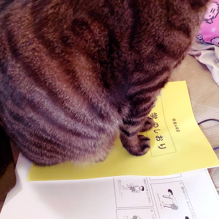 D5e3af4d 7536 418d 8913 45188b3ae081 1648005584008