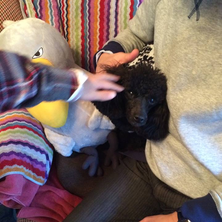 D5e3d27c 2148 4a57 9d30 dd0a94455f68 1546500442732