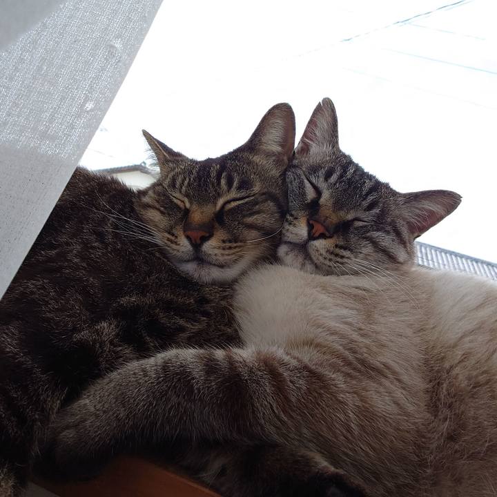 D5e3dab5 f8c9 4a3e ae75 75c6b6433e7f 1717800742328