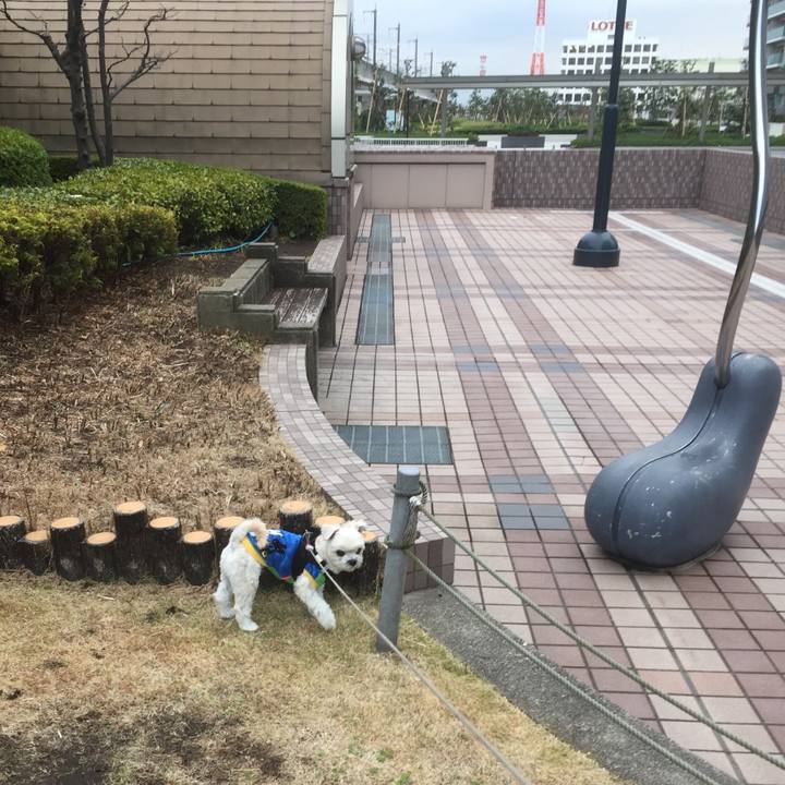 D5e44c83 b970 4dbb 90d0 6f00db840034 1512127604023